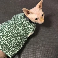 セラピスト3名